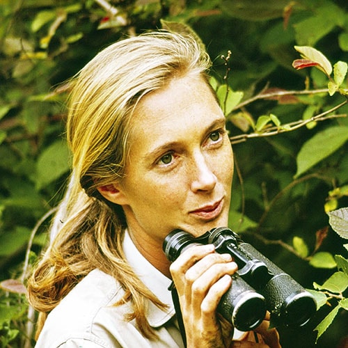 Photo Jane Goodall-Getty Images,Teen Vogue - Protéger les forêts tropicales