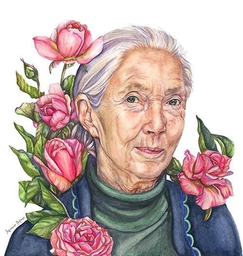 Illustration de Jane Goodall par Josianne Dufour