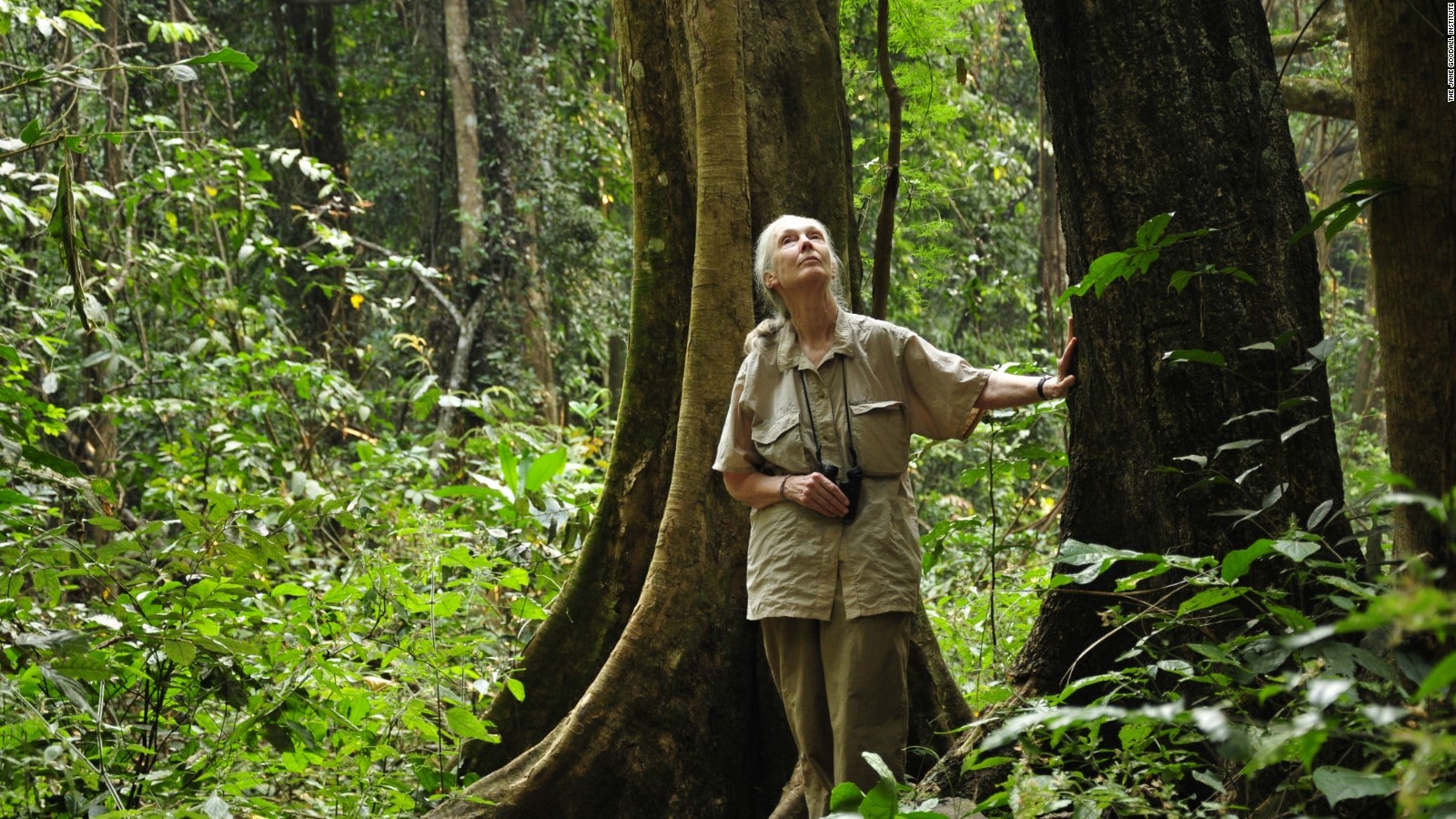 Photo -Jane-Goodall Institute