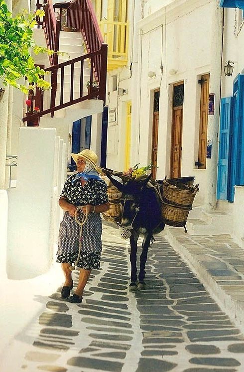 old Lady and Donkey via Pinterest DR