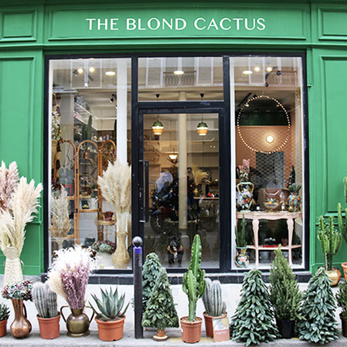 the blond cactus